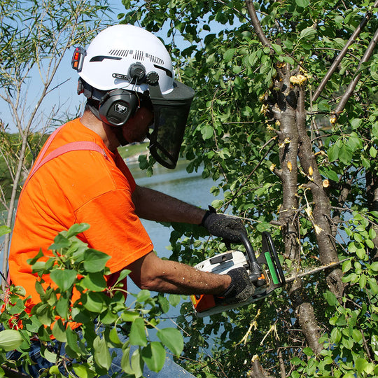 Forestry Kit - Image 3